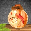 Stony Creek 4.5 Inch Fall Cardinals Pre-Lit Round Sm Jar Ribbon Autumn Novelty Sculpture Lights - 2 of 4