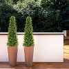 Rbied Green Composite Artificial Tree, Artificial Foliage/Topiary for Indoor and Outdoor ( 2-Piece ) - 3 of 4
