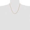 Chisel Stainless Steel Polished Yellow IP-plated 2.4mm 20" Rope Chain Necklace - 4 of 4