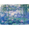 Outset Media Monet: Nympheas 1,000 Piece Puzzle, 27" x 19" Assembled Size, Ages 12 and Up - 2 of 4