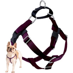 2 Hounds Design Freedom No Pull Adjustable Dog Harness | Comfortable Control for Easy Walking | Made in USA | Solid Colors | 1" LG Burgundy - 1 of 4
