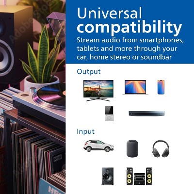 Philips 3.5mm Auxiliary Audio Cable - Silver