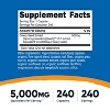 Nutricost Celery Seed Capsules 5,000mg Per Serving, 240 Capsules - GMO-Free, Gluten-Free - 240 Capsules - 2 of 4
