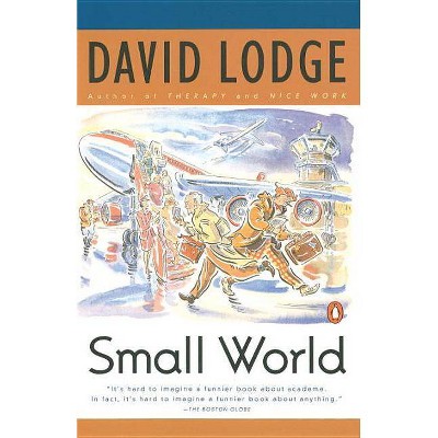 Small World - by  David Lodge (Paperback)