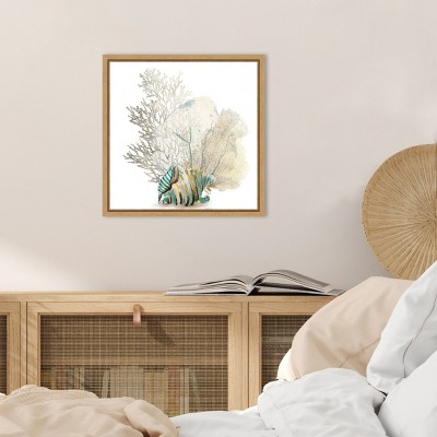 Coral and Conch Shell Canvas Print with Wood Frame