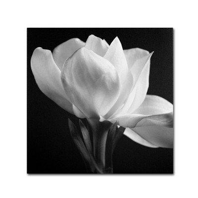 Michael Harrison Black and White Floral Canvas Art, 35'' x 35''