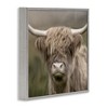 Stupell Industries Soft Highland Cow Black Framed Giclee Art - 3 of 4