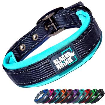 Black Neoprene Padded Dog Collar for All Breeds - Blue - Large