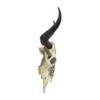 SAGEBROOK HOME 28" Resin Bull Skull Wall Accent Ivory/Black: Contemporary Mixed Media Art, Polyresin Sculpture - image 3 of 4