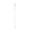 PETKIT Bingo Stick Cat Toy - White - 4 of 4