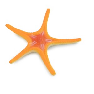 Collectible Wildlife Gifts | Starfish,  Ross, Sea Star, Echinoderms, Asteroidea, Ocean, Sea Life, Plastic,  Toy,  Life Like, Gift,  2 1/4"  F927 B158 - 1 of 4