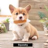Itopfox Dog Squeaky Toys, Plush Small Dog Toys with Squeakers, 12 pcs Puppy Toys with Carrying Bag for Small Medium Dogs - 3 of 4