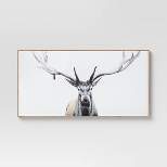 47" x 24" Deer Framed Wall Canvas - Threshold™