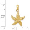 Black Bow Jewelry 14k Yellow Gold 15mm Textured Sea Star Pendant - 4 of 4