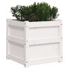 vidaXL - 2 Pcs Garden Planters in White Solid Pine Wood - Outdoor/Indoor Decorative Flower Box - 19.7"x19.7"x19.7" Square - 4 of 4