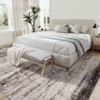 Coolmee Washable Area Rugs Non-Slip Modern Abstract Soft Rug for Living Room Low Pile Non-Shedding Foldable Indoor Carpet for Bedroom - 2 of 4