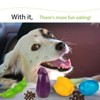 Kiwi fruit Shaped Dog Chew Toy - Sturdy,Durable Food Dispensing Training Toy for All Dog - 4 of 4