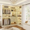 Aheaplus Walk-In Corner Closet System with Mirror, Freestanding Closet Organizer with Drawer and Shelves - 3 of 4