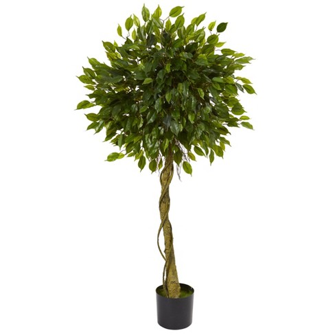 Nearly Natural 5208 Ficus Artificial Tree with Curved Trunk 5-Feet Green 