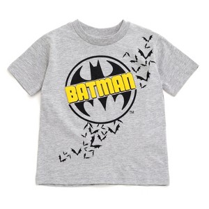 DC Comics T-Shirt Sizes (2T - 14-16) - 1 of 4