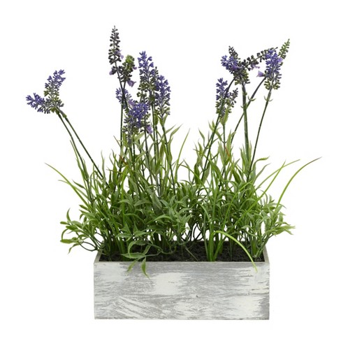 Vickerman 15