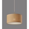 Harvest Large Pendant Antique Brass - Adesso: ETL Listed, Bohemian Rustic Style, Metal Body, No Assembly Required - 4 of 4