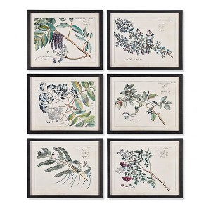 Plum & Post Berry Branch Botanical Study, Set Of 6 - 1 of 2
