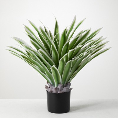 Sullivans Artificial Potted Varigated Agave 26"H Green