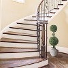 Floral Home 42" Boxwood Double Ball Topiary Artificial Plant - 1-Piece - 3 of 3