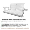 Fortune Candy Porch Swing 2-Seater for Outdoor Patio Garden Yard - 4 of 4