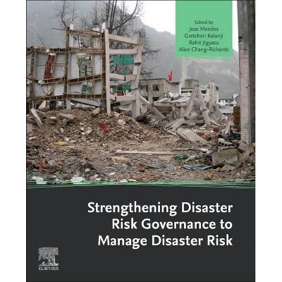 Strengthening Disaster Risk Governance to Manage Disaster Risk - by  Jose Manuel Mendes & Gretchen Kalonji & Rohit Jigyasu & Alice Chang-Richards