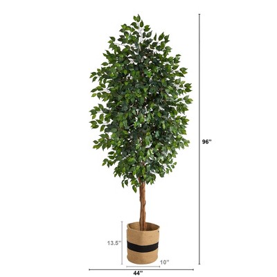 Elegant 8ft Ficus Floor Plant in Handmade Cotton Planter
