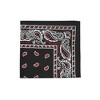 Pack of 4 Men's Large Handkerchiefs 100% Cotton Solid Hankie - 2 of 4