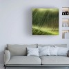 Trademark Fine Art Piotr Krol green fields Canvas Wall Art - 2 of 4