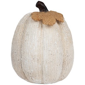 Northlight Knitted Fall Harvest Pumpkin Decoration - 6.25" - Beige - 1 of 4