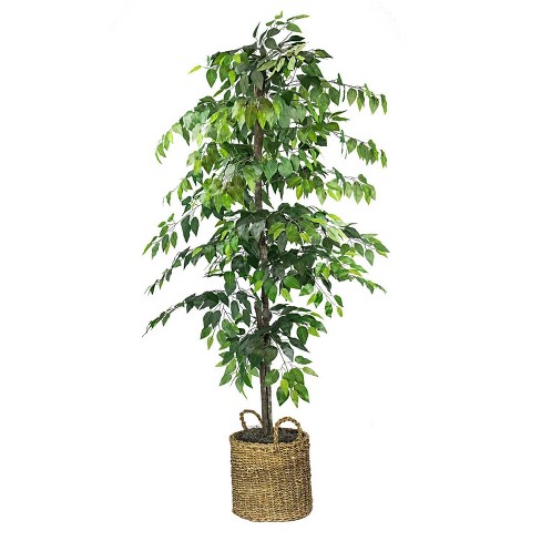 Nearly Natural 5.5 Ft. Super Deluxe Ficus Artificial Tree in Wicker Planter