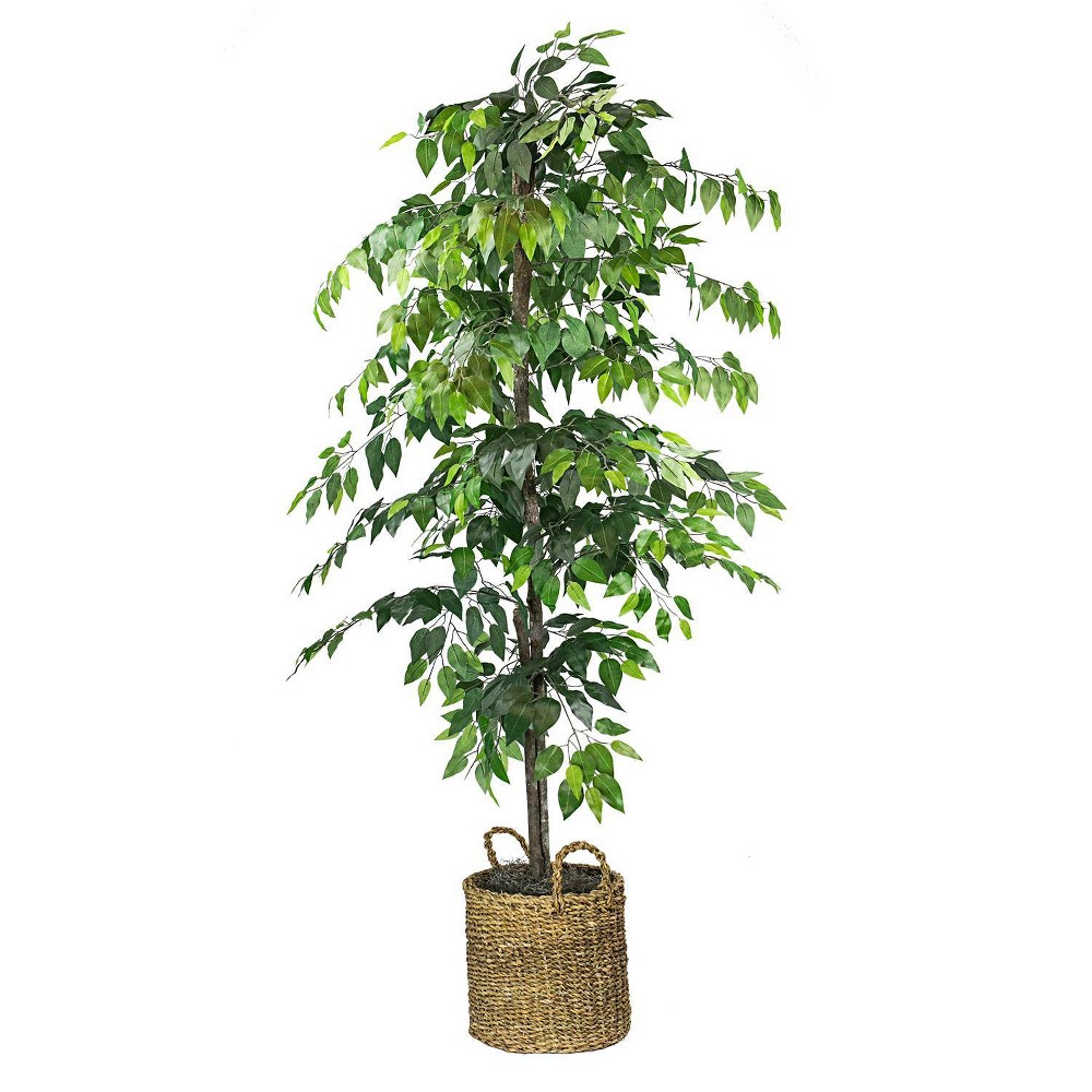 Photos - Garden & Outdoor Decoration 72" Artificial Ficus Tree in Basket - LCG Florals: Indoor Polyester Faux Foliage, No Assembly Required