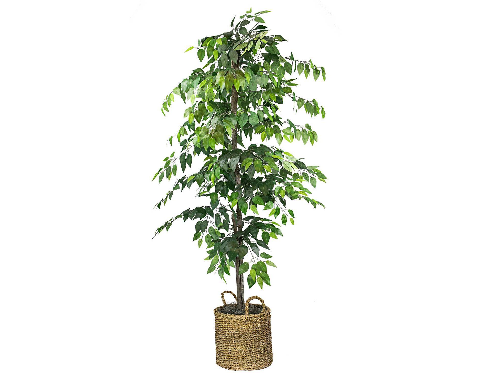 72" Artificial Ficus Tree in Basket - LCG Florals: Indoor Polyester Faux Foliage, No Assembly Required