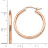 Black Bow Jewelry 2mm x 25mm 14k Rose Gold Satin & Diamond-Cut Round Hoop Earrings - 4 of 4
