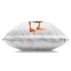 Stupell Industries Squawking Duck Portrait Indoor Decorative Throw Pillow, 18 x 18 - 2 of 3