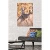 Trends International The Comedy Wildlife Photography Awards: Lara Mathews - Boing Unframed Wall Poster Prints - 2 of 4