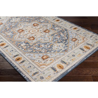 Hauteloom Rectangle Area Rug   Light Gray