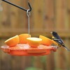 Songbird Essentials Ultimate Oriole Feeder, 32 oz. - 2 of 2