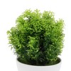 Unique Bargains Artificial Plants Frosted Pine Topiary Plastic 2.17"x2.17"x6.69" 1 Pc - 4 of 4