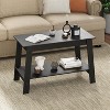 homfan 31.49" Industrial Coffee Table, 2-Tier Storage,Wood Tea Table with Storage Shelf - 3 of 4