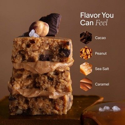 Stars + Honey Collagen Cacao Salt Caramel Peanut Protein Bars - 15g Protein - 8.45oz/5pk