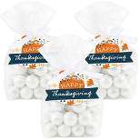 Big Dot of Happiness Happy Thanksgiving - Fall Harvest Party Clear Goodie Favor Bags - Treat Bags With Tags - Set of 12