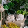 NAYSAYE Planter Decorative Sand and Cement Snail Planter with Textured Beige Finish for Indoor Outdoor Garden, Beige, 8.3"*7"*4.7" - 4 of 4