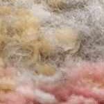 off white, medium gray, light gray, mustard, pink, rust