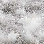 off white, medium gray, light gray, mustard, pink, rust